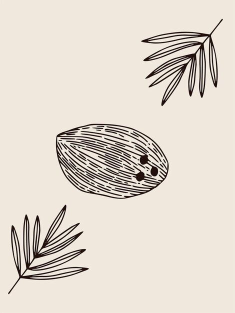 Afiche vectorial boho con ilustración de coco lineal. Cartel bohemio vintage para el interior del hogar.
