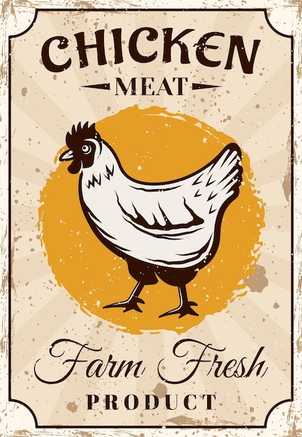 Afiche vertical de vector de producto fresco de granja de carne de pollo o banner publicitario en estilo vintage. ilustración con texto de muestra y texturas grunge en capas separadas