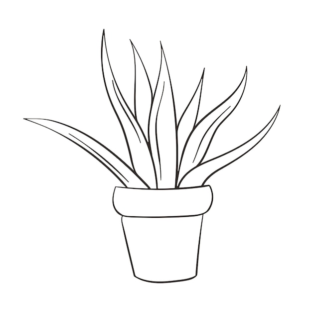 Agave vector icono Casa planta símbolo línea arte vector signo aislado sobre fondo blanco Vector simple