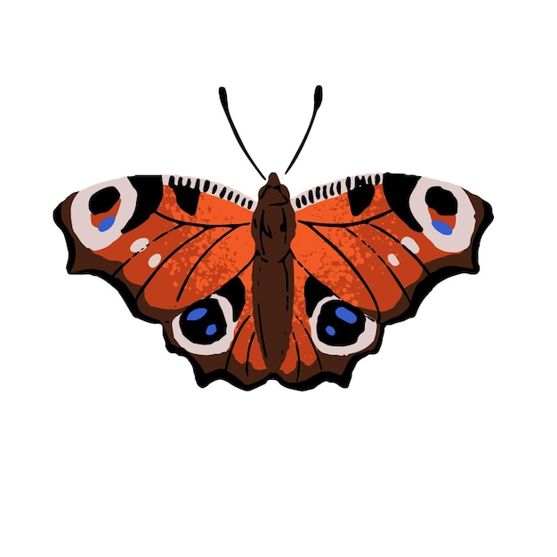 Vector aglais io mariposa pavo real europea insecto rojo estampado colorido lepidóptero animal con alas ornamentadas fauna exótica ilustración vectorial plana aislada dibujada a mano sobre fondo blanco