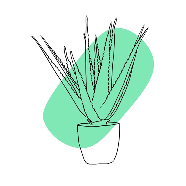 Agregue un toque de naturaleza a su decoración con nuestra ilustración vectorial de una planta de aloe dibujada a mano que presenta una hermosa mancha verde sobre un fondo neutro