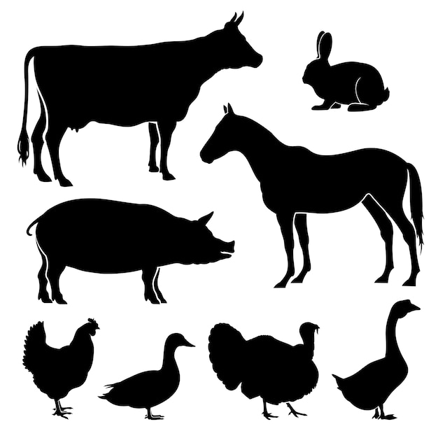 agrícolas