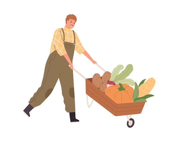 Agricultor empujando carretilla de madera con cosecha de otoño. Trabajador agrícola que va con un carro de jardín con verduras locales orgánicas. Hombre y carrito de mano. Ilustración de vector plano coloreado aislado sobre fondo blanco