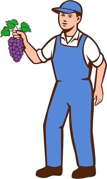 Vector agricultor orgánico niño uvas pie retro