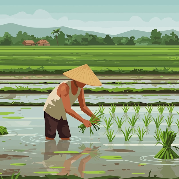 Agricultor plantando plántulas de arroz en el paisaje de los arrozales asiáticos