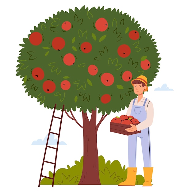 Vector agricultor recogiendo manzanas concepto de cosecha ilustración de vector plano dibujado a mano aislado sobre fondo blanco