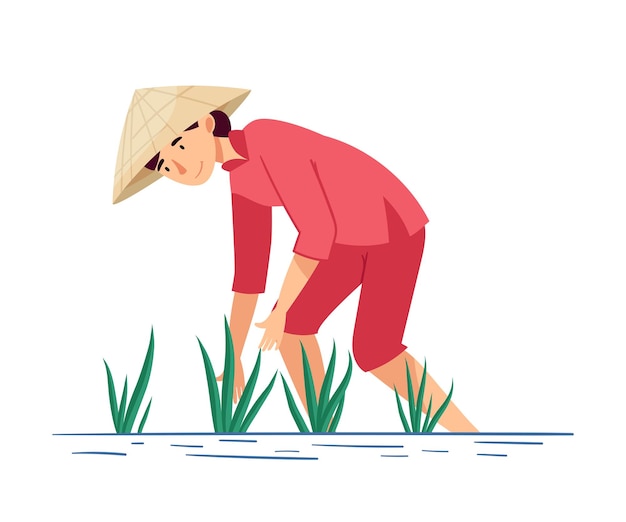 Agricultora vietnamita con sombrero cónico de paja recogiendo arroz en una ilustración vectorial de suelo acuoso