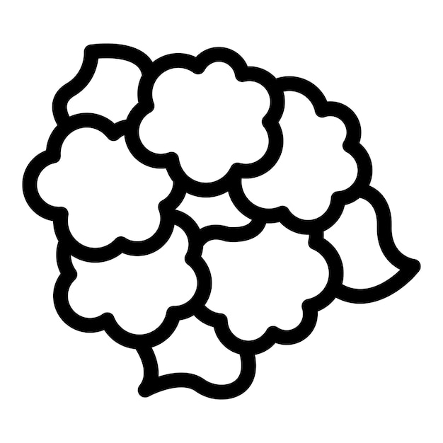 Agricultura icono de coliflor contorno vector vitamina saludable