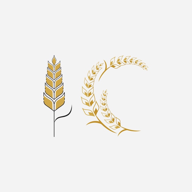 Agricultura trigo logo vector