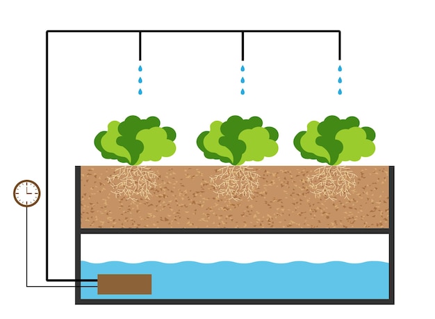 Agricultura verde moderna hidroponía composición aeropónica con plantas
