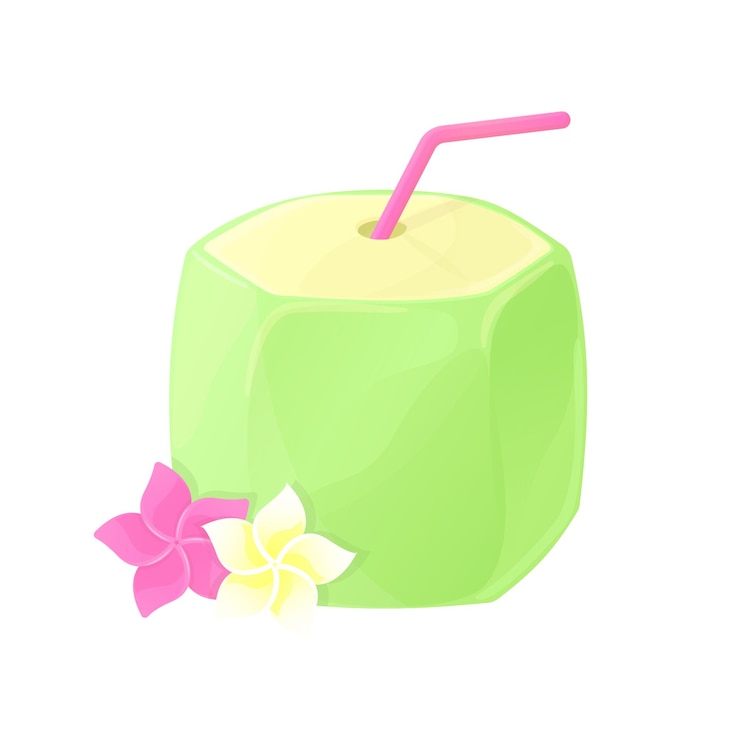 Vector agua de coco con paja y plumeria vector ilustración aislada bebida refrescante de playa de verano