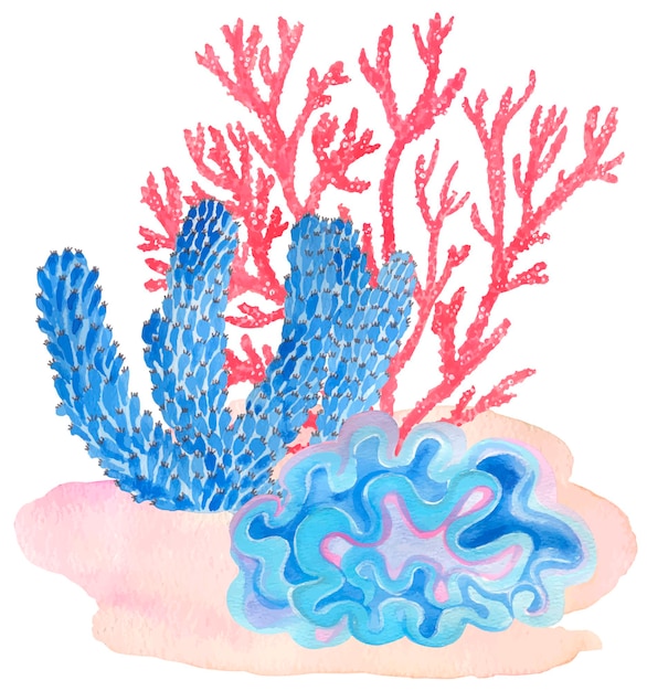 Bajo el agua Corales de colores. Ilustración acuarela de pintura a mano. Bajo el océano, vida salvaje.