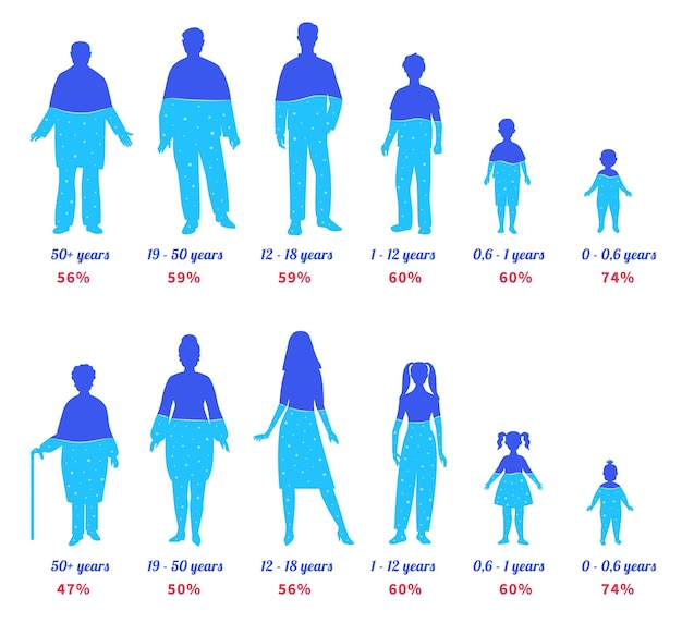 Agua en el cuerpo humano Siluetas de personas de diferentes edades con gráfico de nivel de hidratación de porcentaje de agua para personas femeninas y masculinas conjunto de ilustraciones vectoriales
