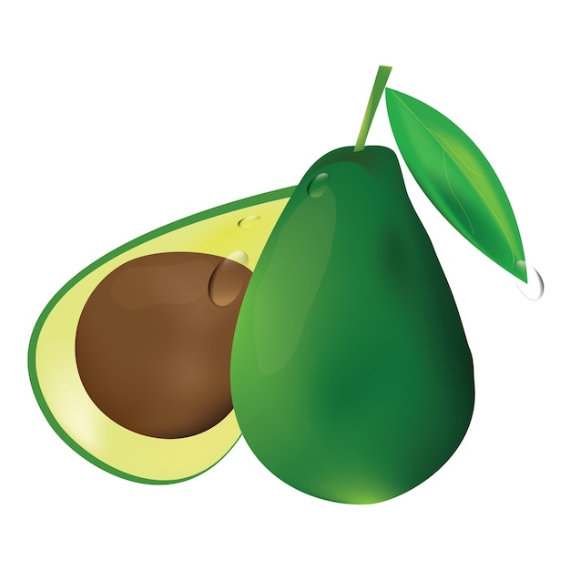 Vector aguacate aislado en un fondo blanco