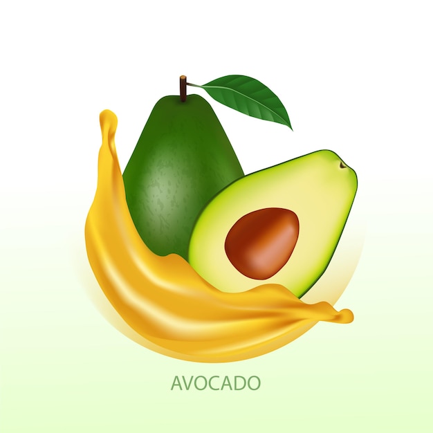 Aguacate fresco para la ilustración de vector de buena salud.
