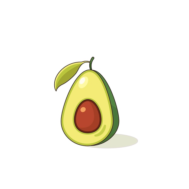 Aguacate ilustración vectorial dibujada a mano. Boceto de estilo de grabado detallado. Fruta tropical de verano, isolat