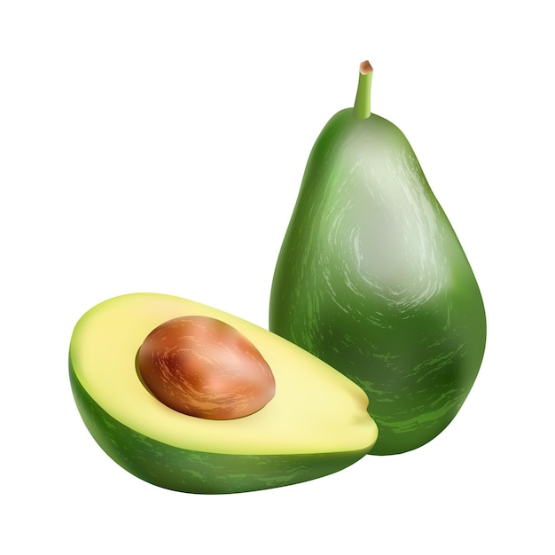 El aguacate realista