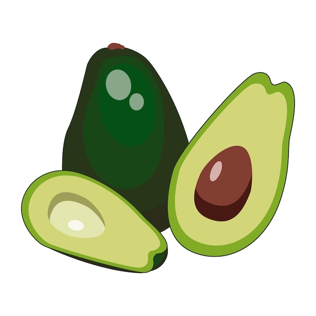 Aguacate vector de aguacate entero y semideshuesado aislado sobre fondo blanco