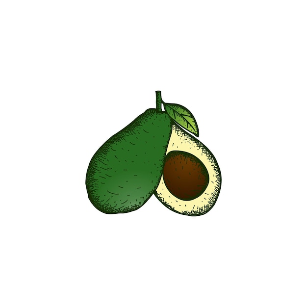 aguacate de la vendimia