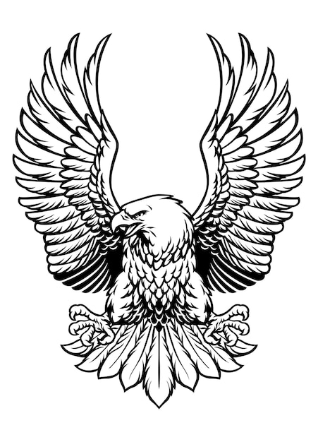 Vector Águila calva en blanco y negro extendiendo sus alas