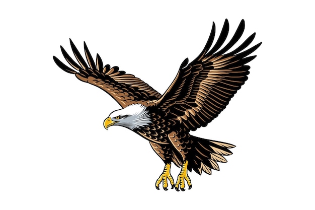 El águila calva en vuelo