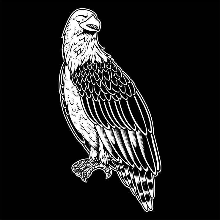 Vector águila calva