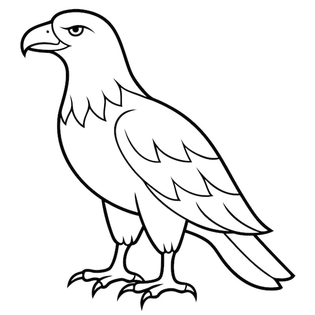 Águila dorada ilustrador vectorial de cuerpo completo Icono de halcón negro Silueta de halcán