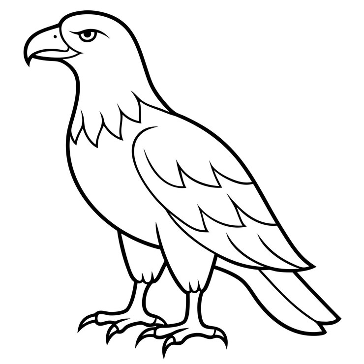 Vector águila dorada ilustrador vectorial de cuerpo completo icono de halcón negro silueta de halcán