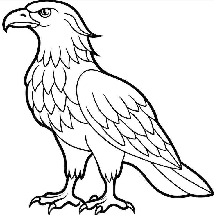 Vector águila dorada ilustrador vectorial de cuerpo completo icono de halcón negro silueta de halcán