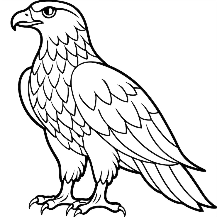 Vector águila dorada ilustrador vectorial de cuerpo completo icono de halcón negro silueta de halcán
