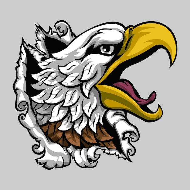 un águila con un pico que tiene un pico that has a beak que tiene un beak que dice águila calva