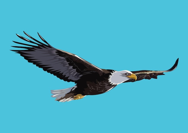 Vector Águila rgb