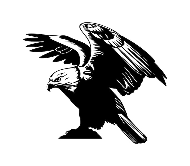 Un águila volando con las alas extendidas. Vector e Illustrator