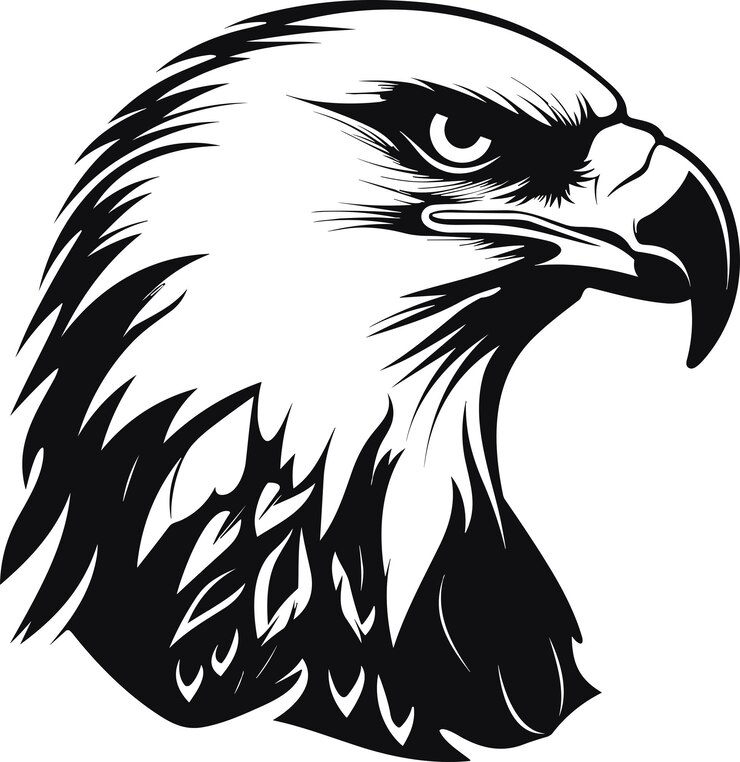 Vector águila