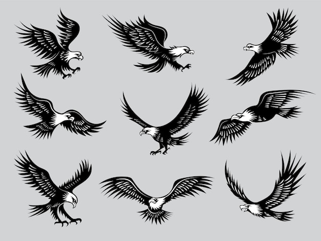 Águilas voladoras. siluetas de aves halcones salvajes animales de libertad para emblemas de motocicletas ilustraciones vectoriales recientes. águila, tatuaje, vida silvestre, vuelo, y, caza, vuelo, pájaro salvaje