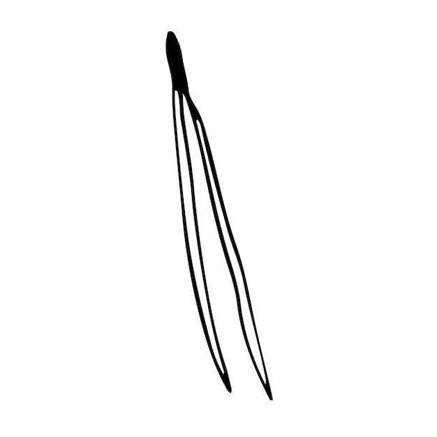 Aguja de abeto estilo Doodle sobre fondo blanco aislado Agujas de bosque de árboles coníferos