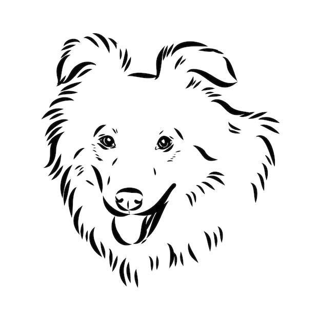 aidi perro vector boceto contorno dibujo a lápiz obra de arte personaje negro sobre fondo blanco mascota de raza realista