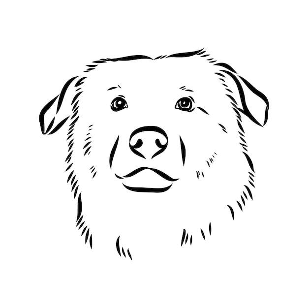 aidi perro vector boceto contorno dibujo a lápiz obra de arte personaje negro sobre fondo blanco mascota de raza realista