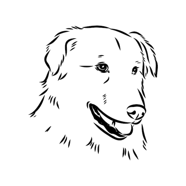 aidi perro vector boceto contorno dibujo a lápiz obra de arte personaje negro sobre fondo blanco mascota de raza realista