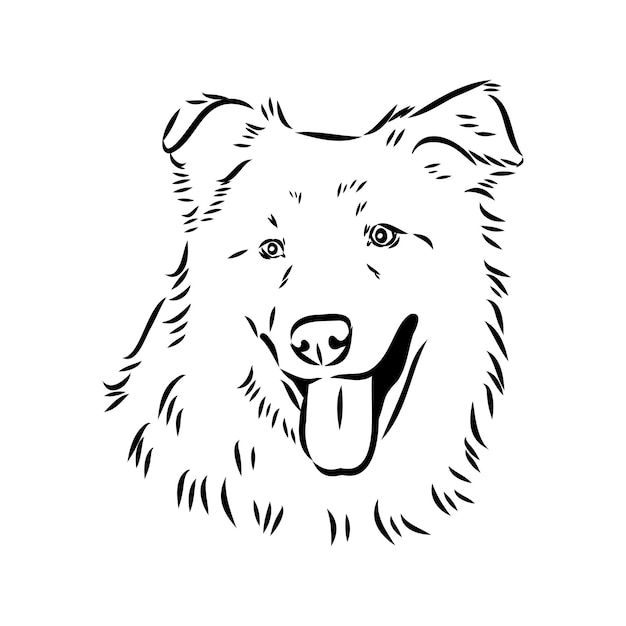 aidi perro vector boceto contorno dibujo a lápiz obra de arte personaje negro sobre fondo blanco mascota de raza realista