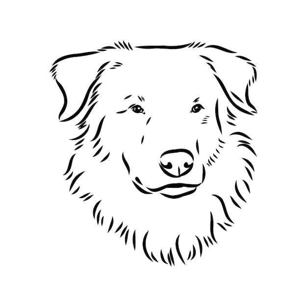 aidi perro vector boceto contorno dibujo a lápiz obra de arte personaje negro sobre fondo blanco mascota de raza realista