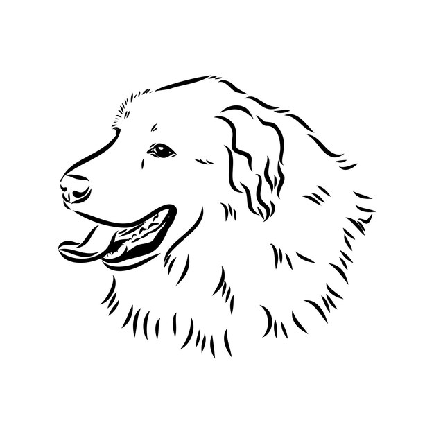 aidi perro vector boceto contorno dibujo a lápiz obra de arte personaje negro sobre fondo blanco mascota de raza realista