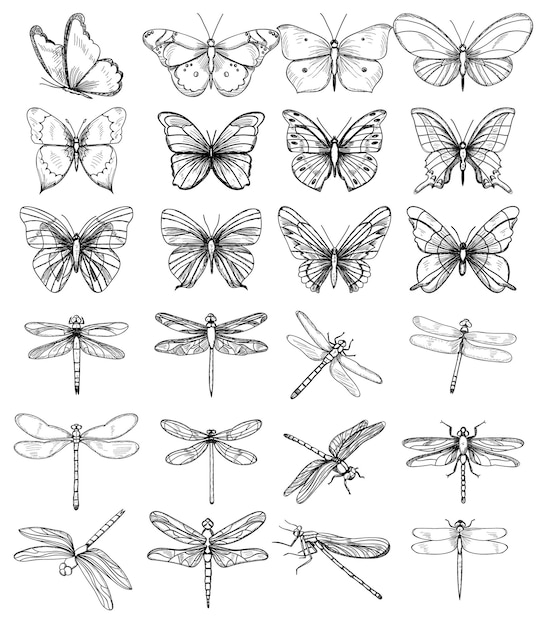 aislado, conjunto de bocetos de mariposas y libélulas sobre un fondo blanco.