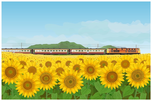 Ajardine el viaje del jardín y del tren de los girasoles que corre sin ser visto en el estilo de Tailandia.