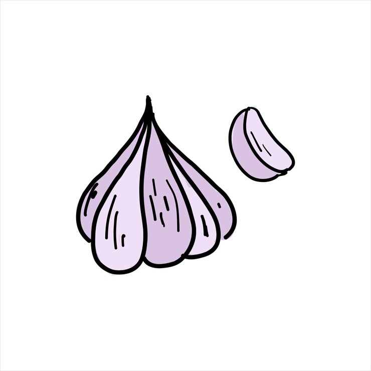 Vector ajo color simple doodle vector clipart aislado en blanco