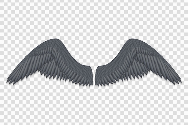 Alas de ángel negro realista aislado ilustración vectorial