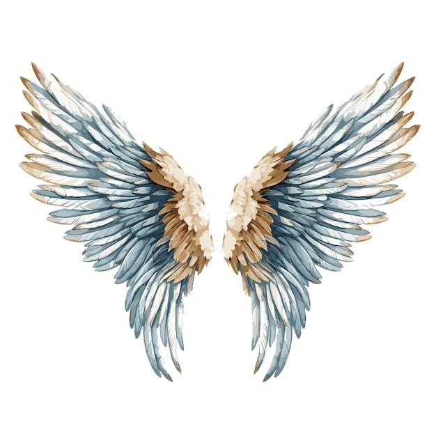 Vector alas de angel