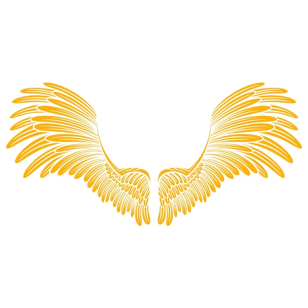 Alas de ilustración vectorial