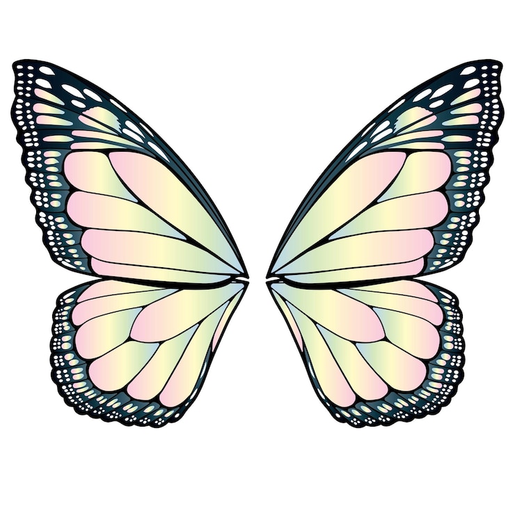 Vector alas de mariposa
