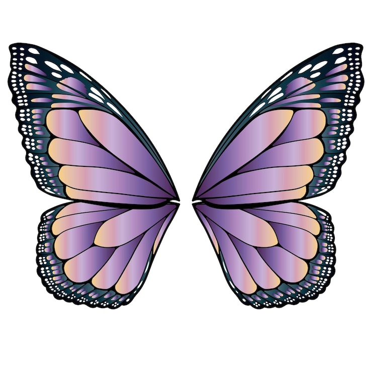 Vector alas de mariposa